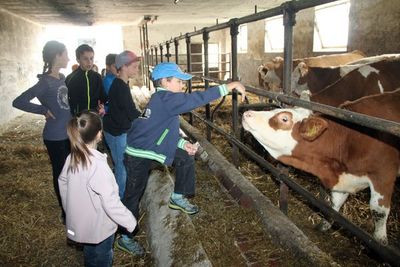 Ferien auf dem Bio-Bauernhof.