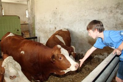 Der Besuch auf dem Bauernhof steigerte sicherlich das Interesse der elf Kinder an der Landwirtschaft.