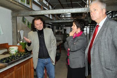Im Treffpunkt GRÜN erläutert Geschäftsführer Reinhard Lautenschlager li.) MdL Maria Noichl und MdL Reinhold Strobl den Anbau der Energiepflanze „Durchwachsene Silphie“.
