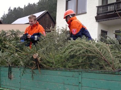 Mehr als 100 Christbäume eingesammelt.