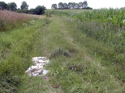 In der Natur abgelagerter Fliesenschutt gefährdet Reifen und Tiere. In der Natur abgelagerter Fliesenschutt gefährdet Reifen und Tiere.