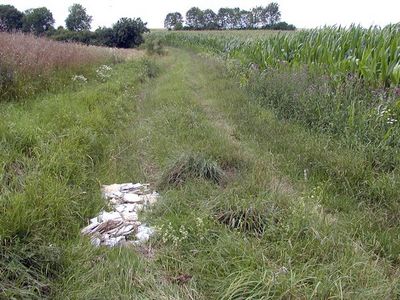 In der Natur abgelagerter Fliesenschutt gefährdet Reifen und Tiere.