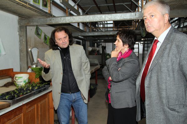 Im Treffpunkt GRÜN erläutert Geschäftsführer Reinhard Lautenschlager li.) MdL Maria Noichl und MdL Reinhold Strobl den Anbau der Energiepflanze „Durchwachsene Silphie“.