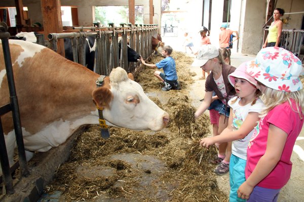 Der Besuch auf dem Bauernhof steigerte sicherlich das Interesse der elf Kinder an der Landwirtschaft.