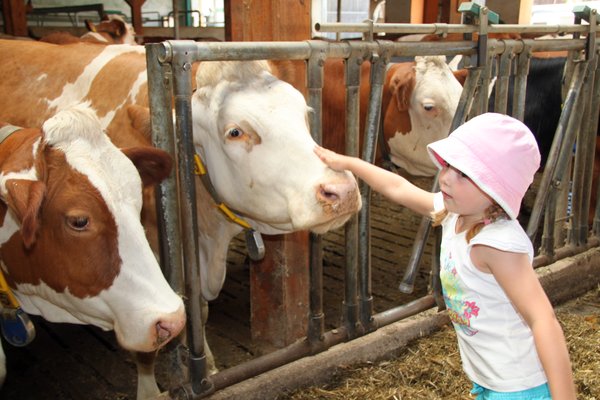 Der Besuch auf dem Bauernhof steigerte sicherlich das Interesse der elf Kinder an der Landwirtschaft.