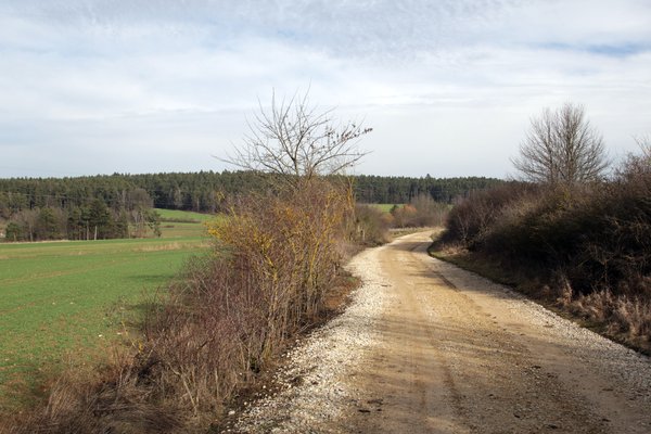 Uschlberg: Ein Biotopverbund ist nach Meinung des Heimat- und Kulturverein sinnvoll und wünschenswert.